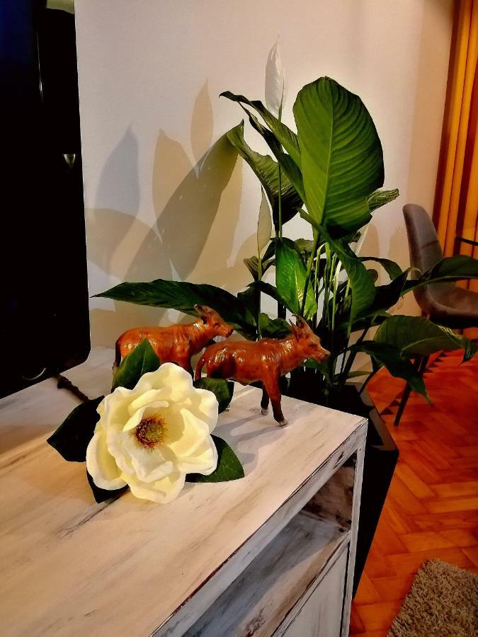 Appartamento The Sunset Lisbon Flat Esterno foto